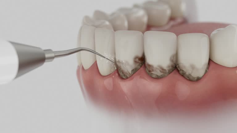 Reliable Dental contractor in New Brighton, MN by Dentist Open Now